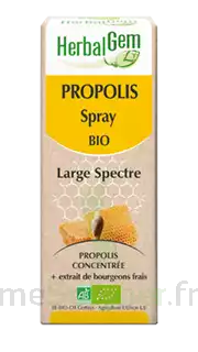 Herbalgem Propolis Large Spectre Solution Buvable Bio Spray/15ml à Courbevoie